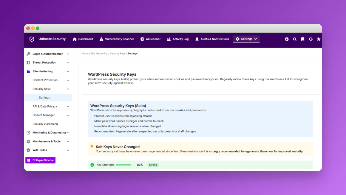 salt keys in wordPress security  features