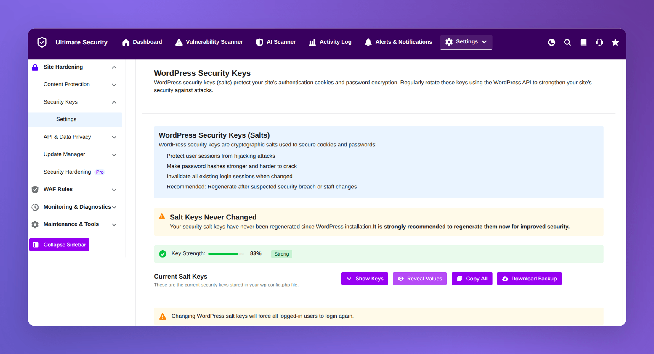WordPress Security Keys in ultimate security